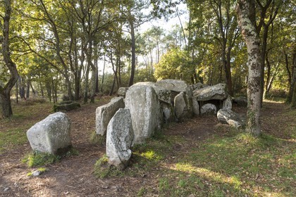 Le dolmen de Mané Groh _ Erdeven