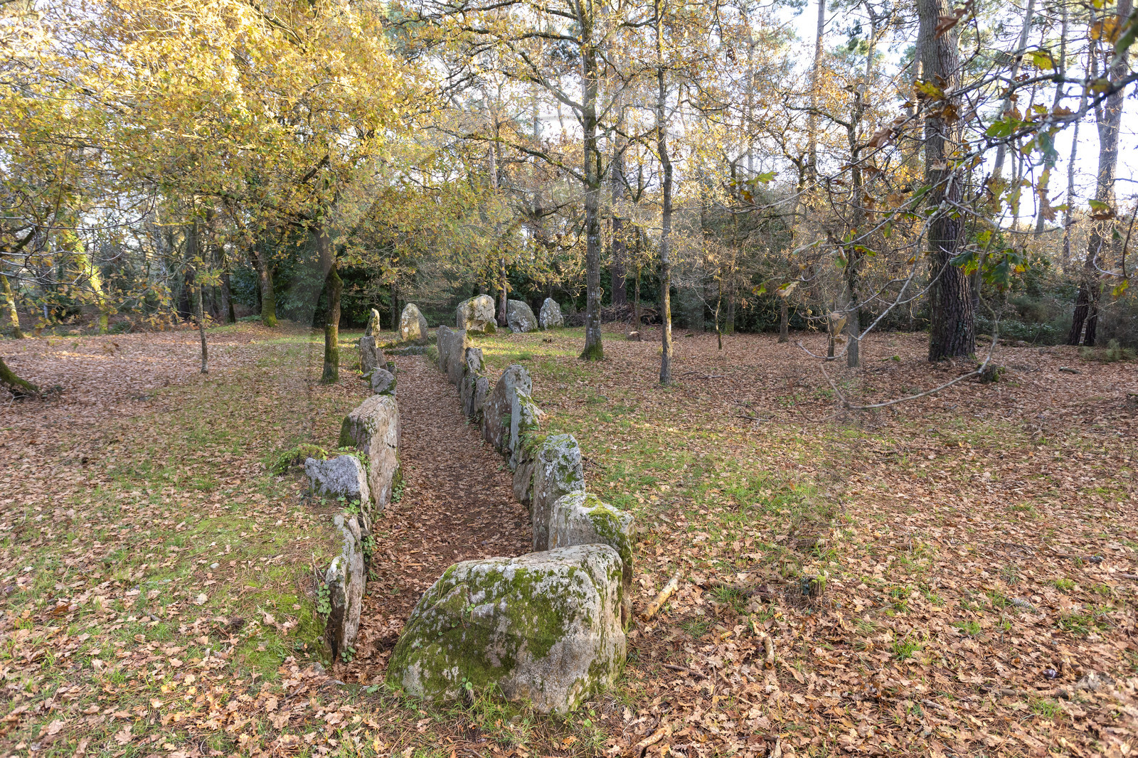 Allée couverte de Luffang Tal-er-Roch à Crach.