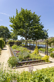 Le jardin du Prieuré Locmaria à Quimper