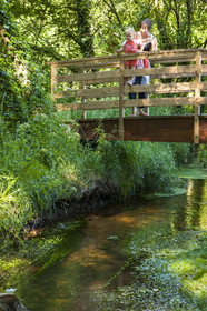 Le ruisseau le Rion sur la commune de Brandérion