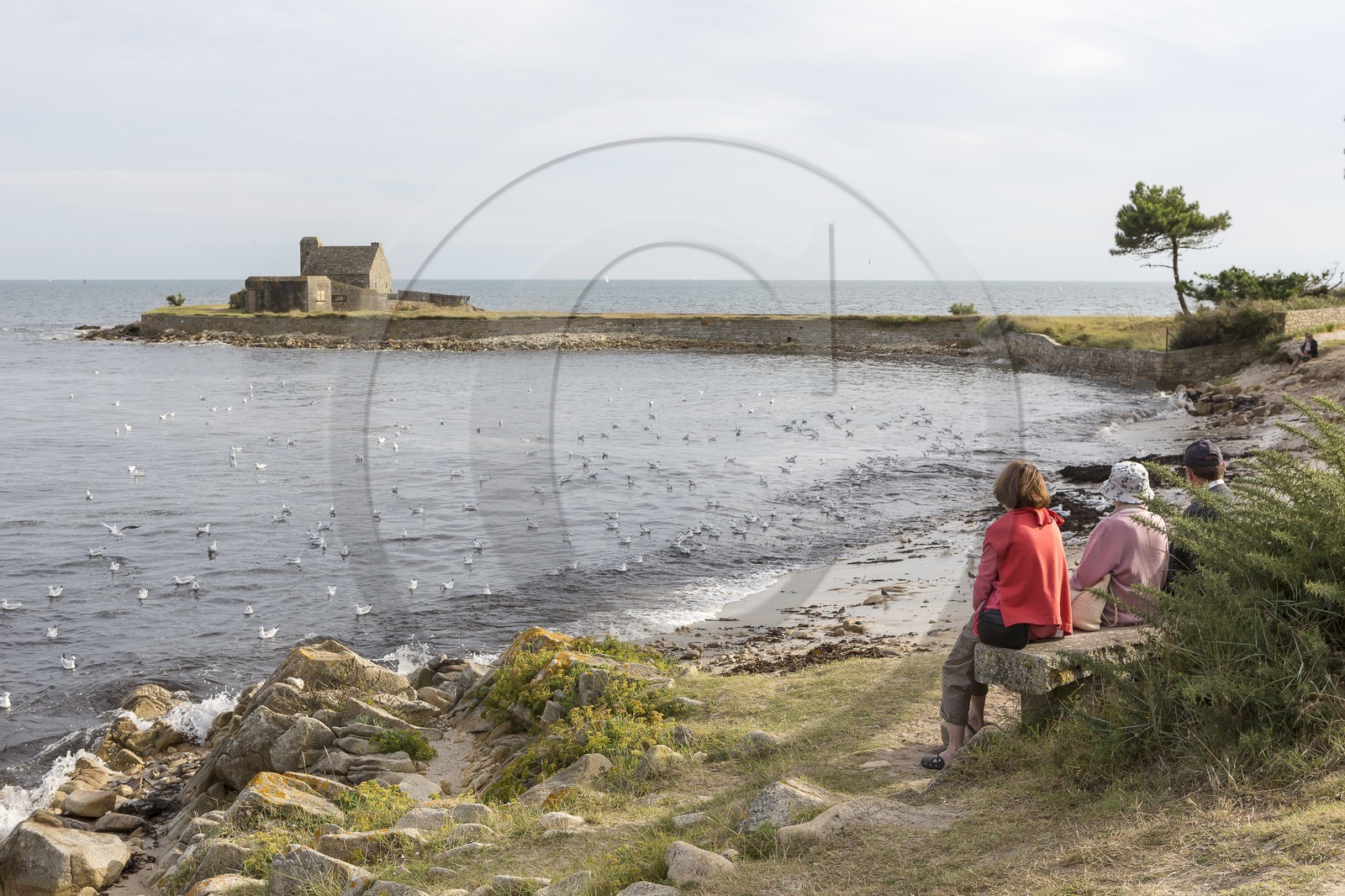 La pointe de Kerbihan _ La Trinité sur Mer