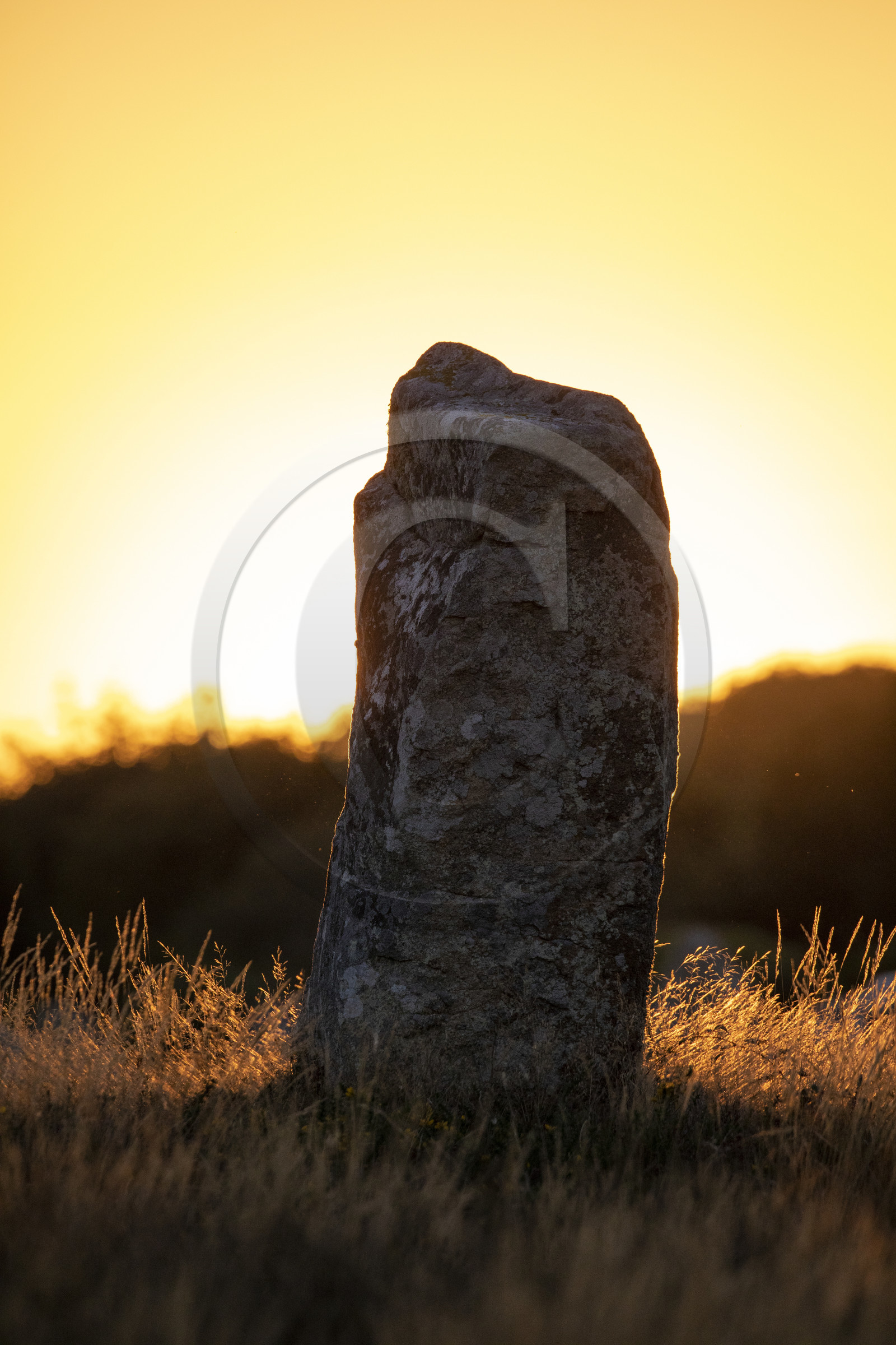 Alignements du Ménec à Carnac