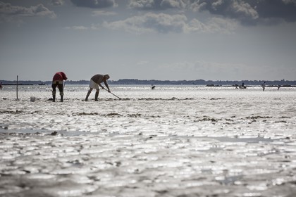 Peche a pied _ plage du men du