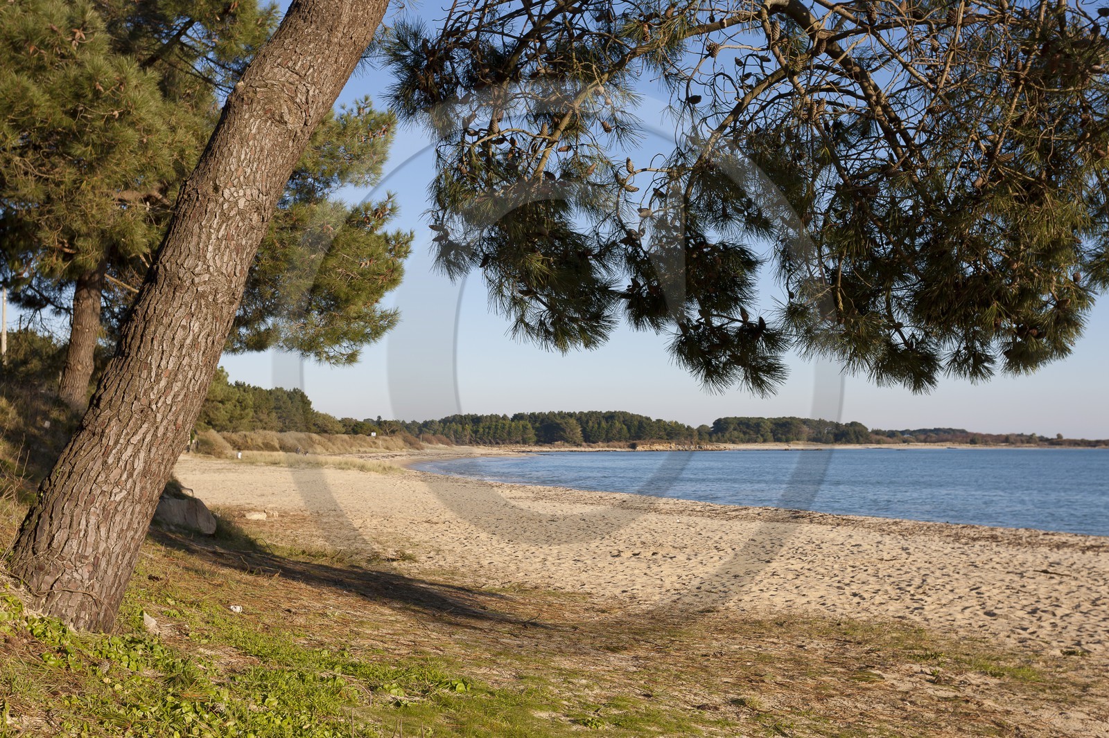 La plage du Men-Du _ La Trinité sur mer