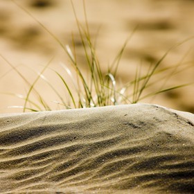 Jeux de lumière dans les dunes de sable d'Erdeven