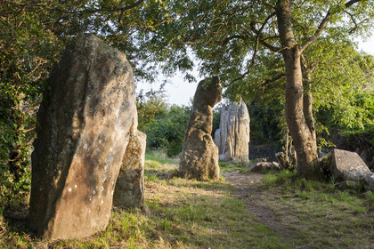 Alignements de Kerzerho _ Erdeven