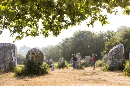 Alignement de Menhirs de Kerzerho _ Erdeven.