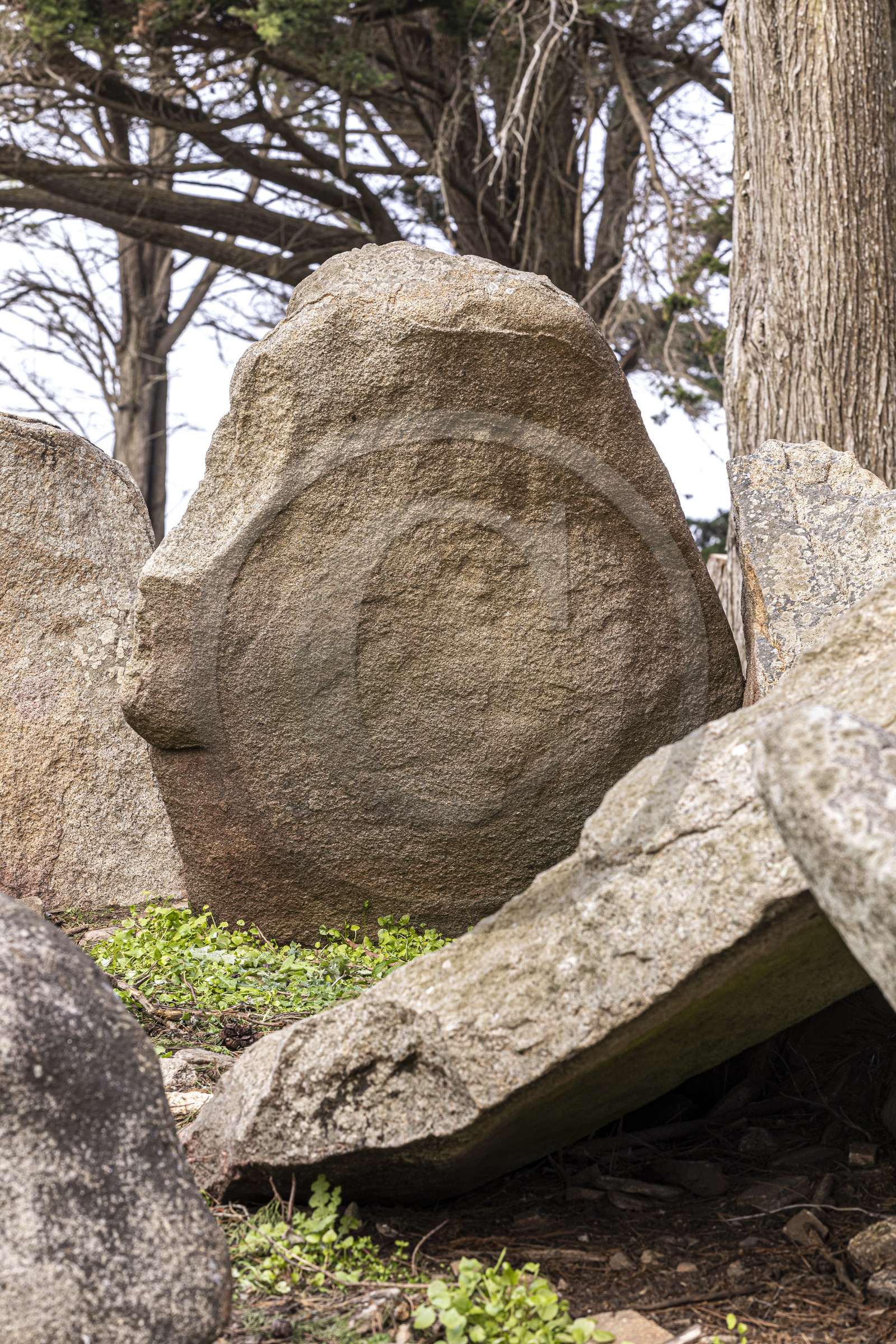 Site mégalithique de Pen Liouse