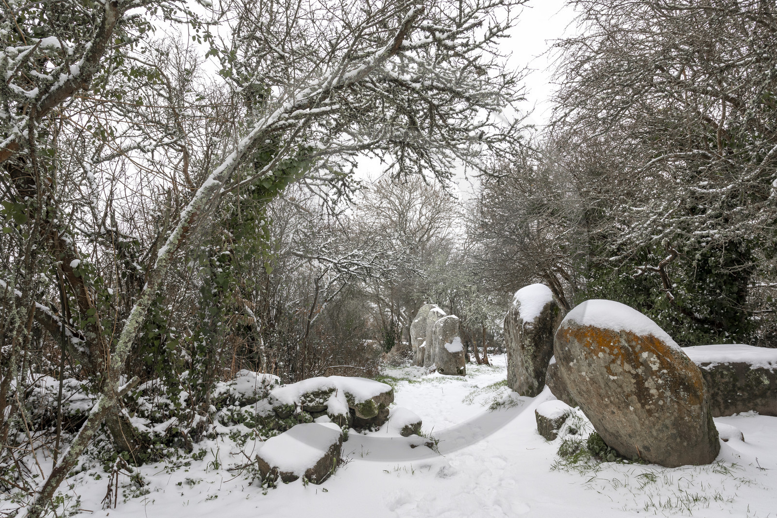 Alignements de Kerzerho _ Erdeven