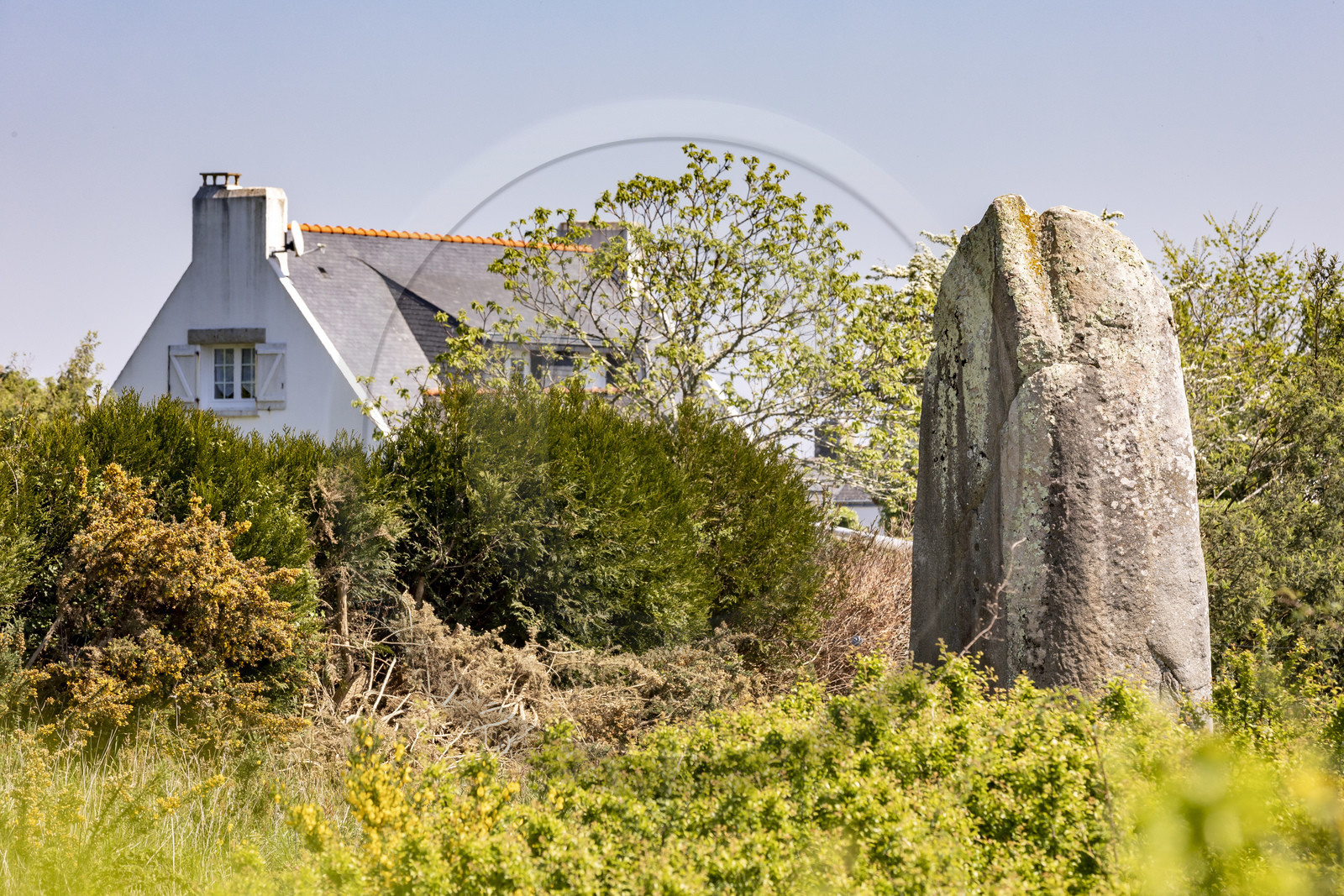 Le menhir de Kermaillard à Sarzeau