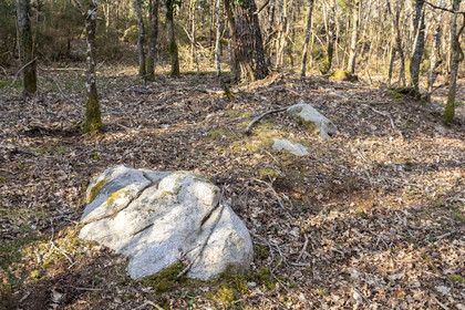 Le site mégalithique Le Castellic à Carnac